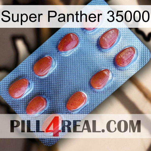 Super Panther 35000 06.jpg